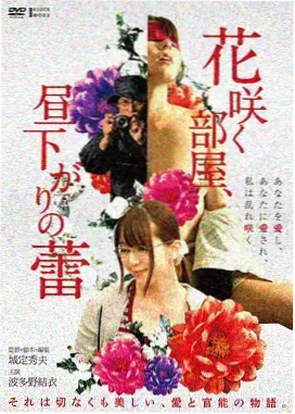 电影雾港档案封面